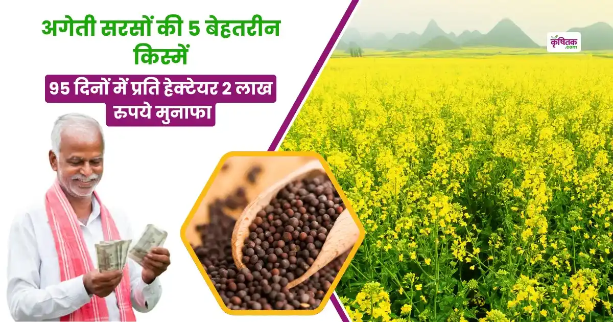 अगेती सरसों की किस्में