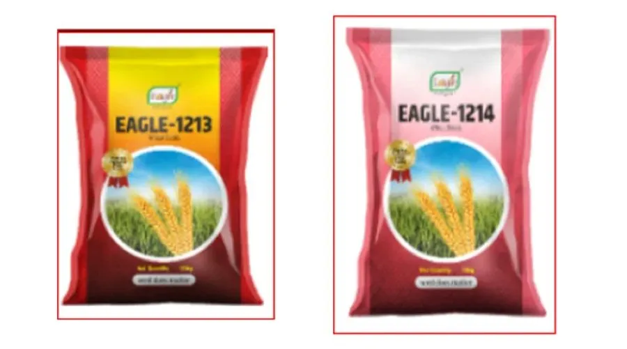 Eagle Seeds ने लॉन्च की गेहूं की 2 नई किस्में Eagle-1213 और 1214, पैदावार और रोग प्रतिरोध में जबरदस्त