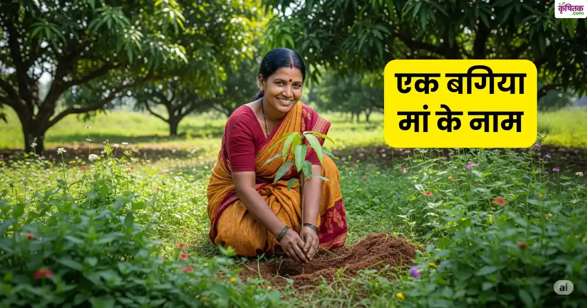 फलों का बाग लगाएं और पाएं ₹3 लाख रूपये, 15 अगस्त से शुरू हो रही ये नई योजना, जानें आवेदन प्रक्रिया