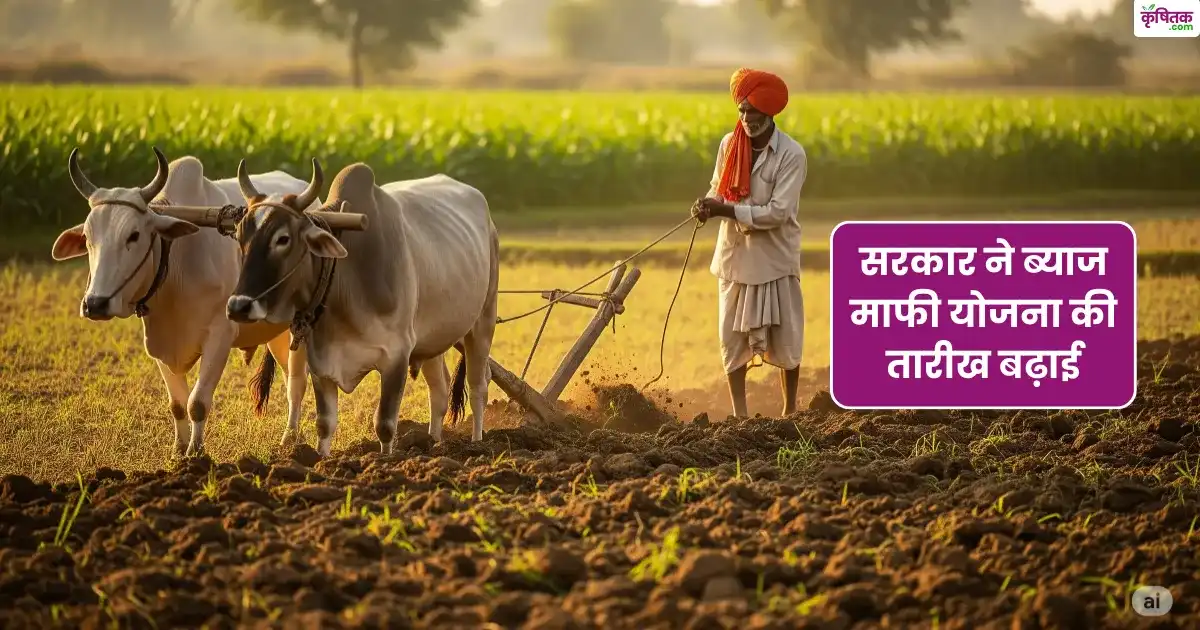 राजस्थान ब्याज राहत योजना 2025