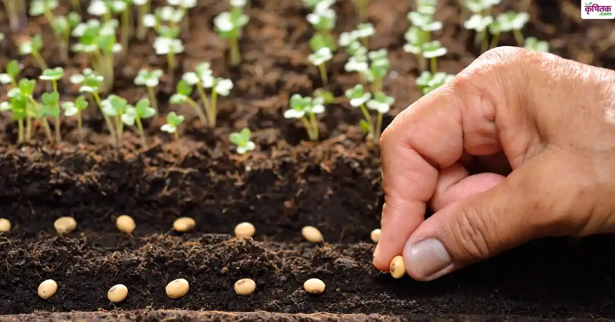 uttar-pradesh-seed-park-yojana