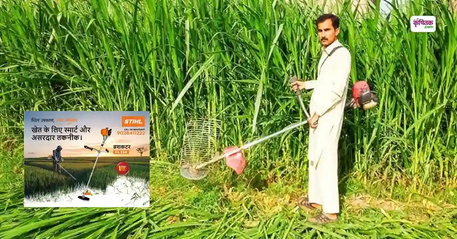 Brushcutter Se Kheti Mein Tezi Aur Safalta