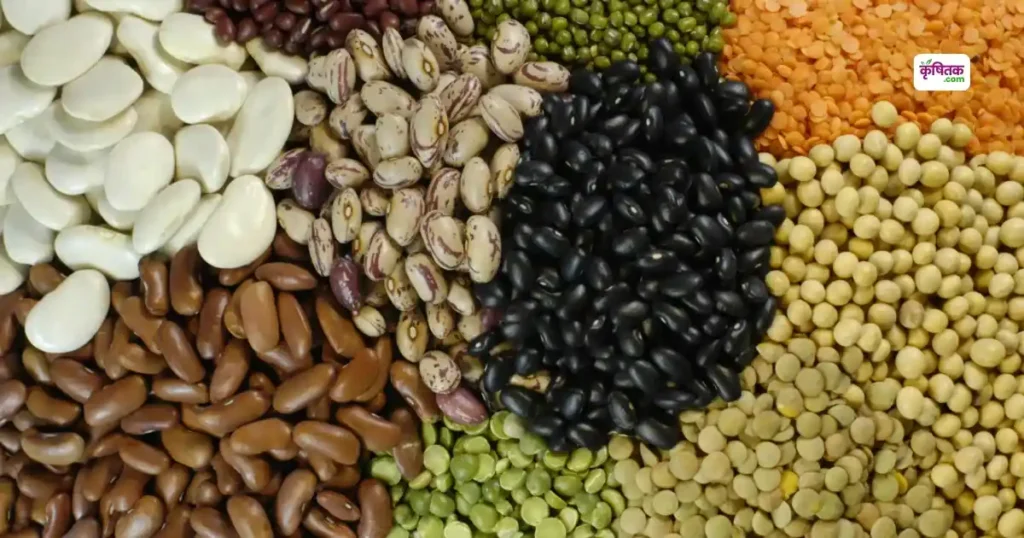 Pulses Farming Benefits