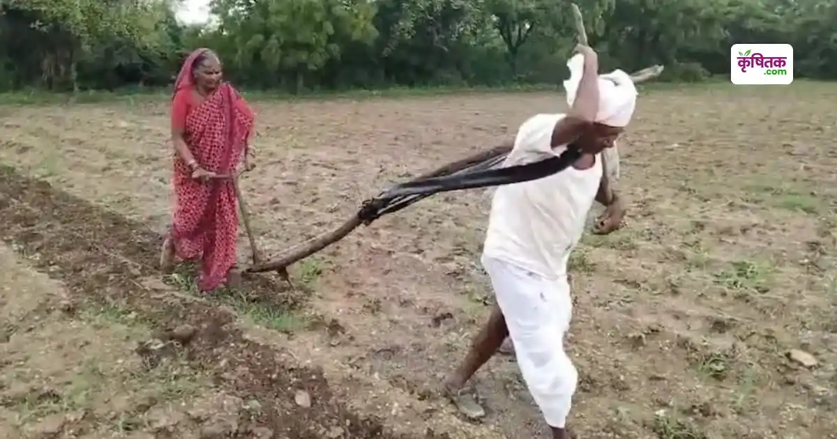 Latur Kisan Sankat Karzmaafi Buzurg Dampati Kahani Sarkar Ka Kadam