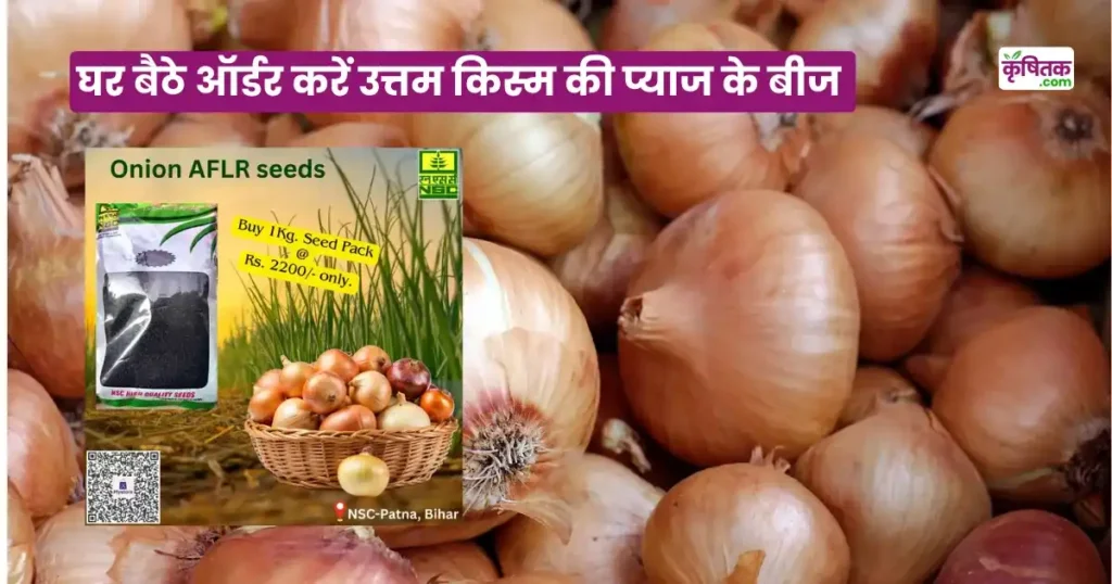 AFLR Pyaj Ki Kheti