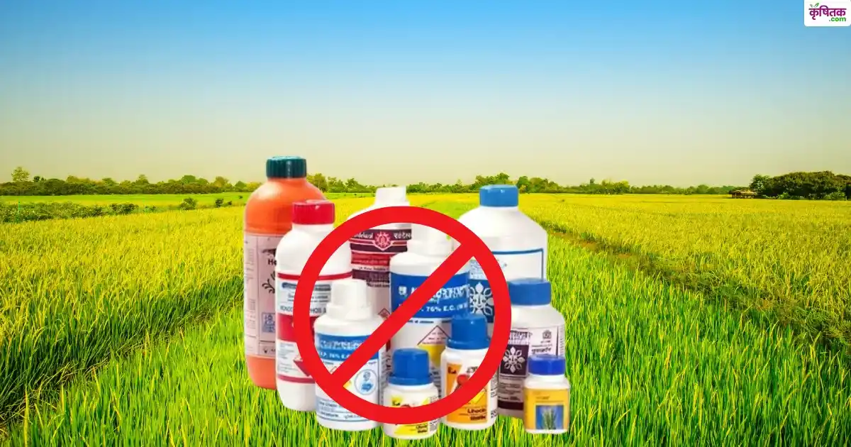 Ban On 11 Pesticides In UP