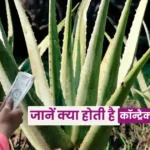 Contract Farming Benefits For Farmers