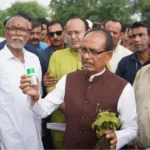 Fake pesticide in soybean crops
