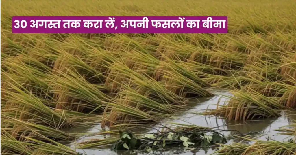 Fasal Beema Yojana