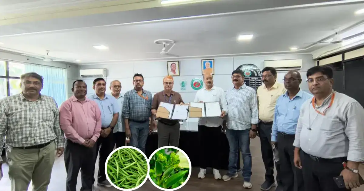 IIVR Varanasi Seeds