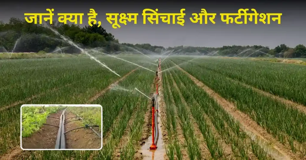 Micro Irrigation