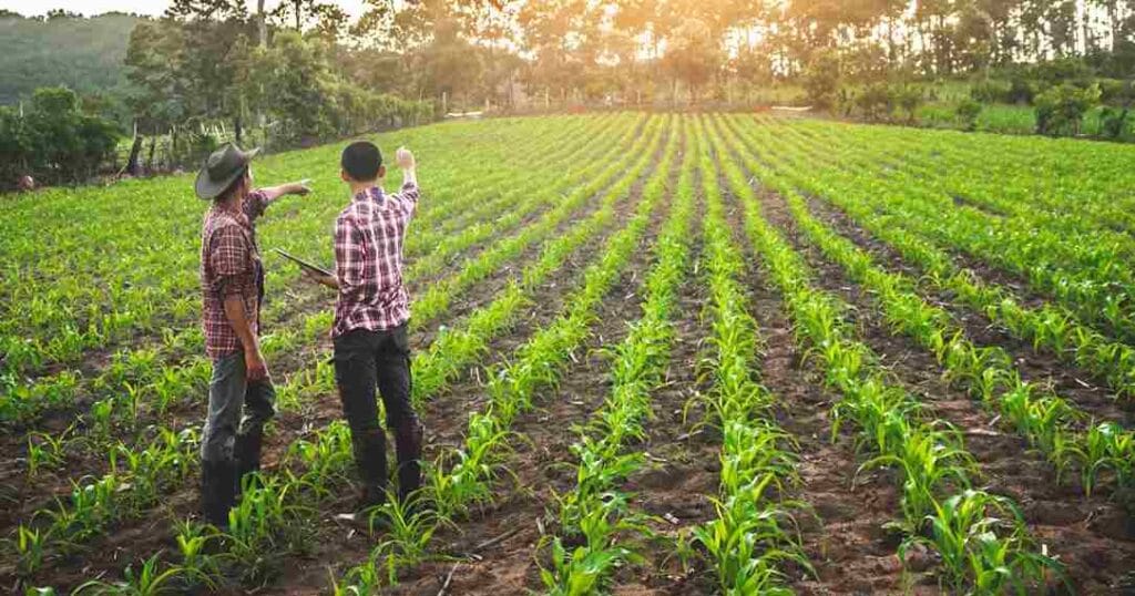 Organic Farming Schemes India