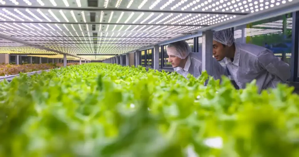 Rajasthan Farmers Training Abroad