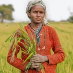 मुख्यमंत्री महिला रोजगार योजना