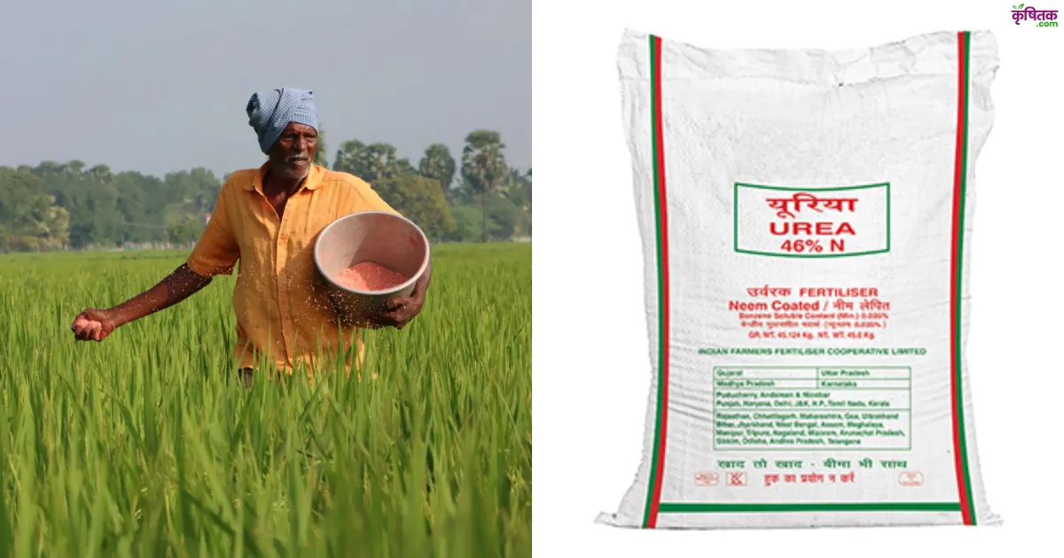 यूरिया संकट: किसानों का गंभीर आरोप, क्या उद्योगों को दी जा रही सब्सिडी वाली खाद?