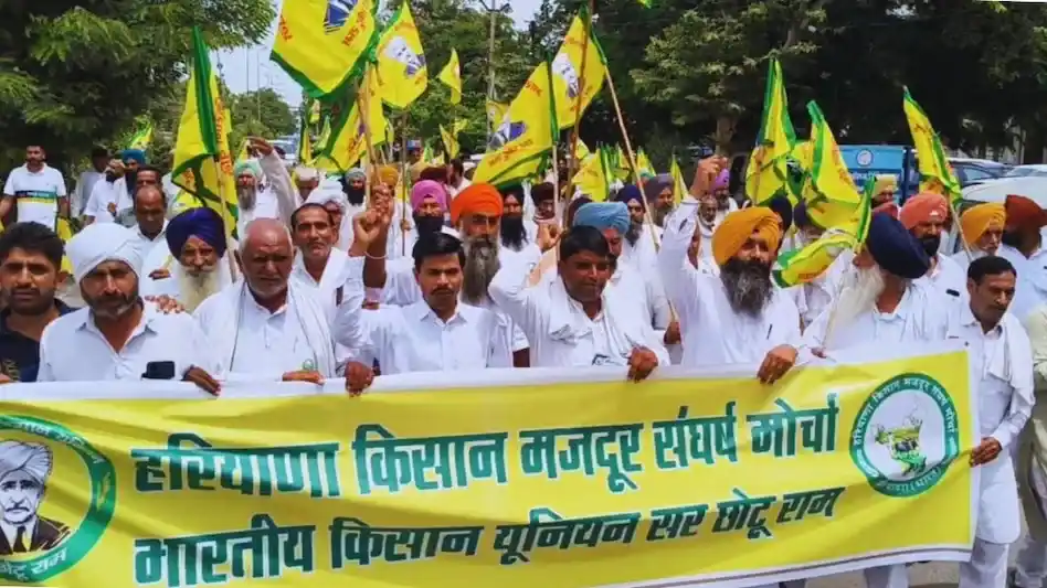 फिजी वायरस से धान की फसल बर्बाद, किसानों ने मांगा ₹60,000 मुआवजा