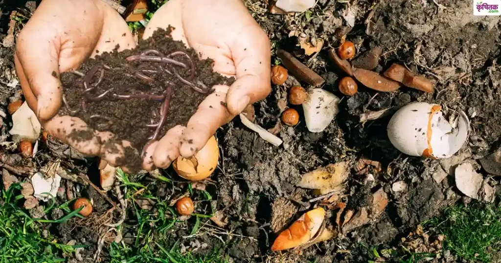 FOM: किसानों के लिए नई खाद बनी वरदान, पैदावार बढ़ेगी और आयात पर घटेगा खर्च