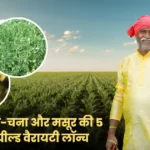 किसानों को बड़ी राहत: ज्वार-बाजरा-चना और मसूर की 5 नई हाई-यील्ड वैरायटी लॉन्च