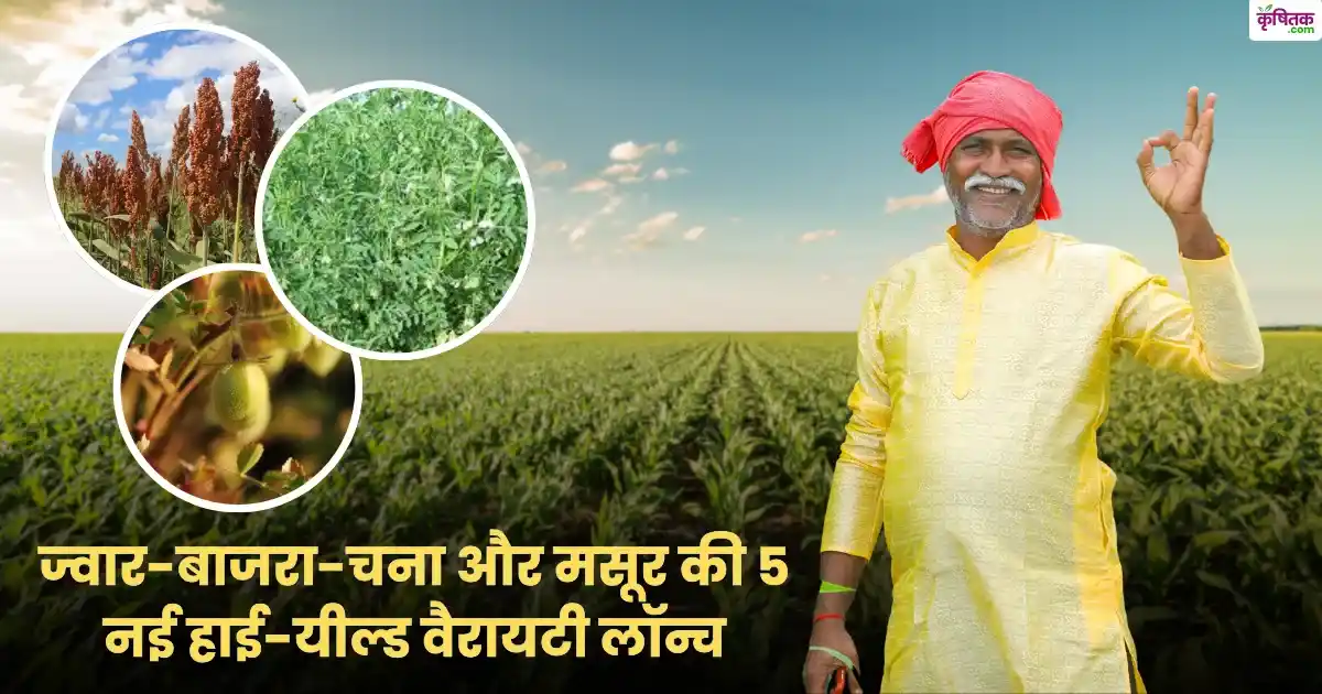 किसानों को बड़ी राहत: ज्वार-बाजरा-चना और मसूर की 5 नई हाई-यील्ड वैरायटी लॉन्च