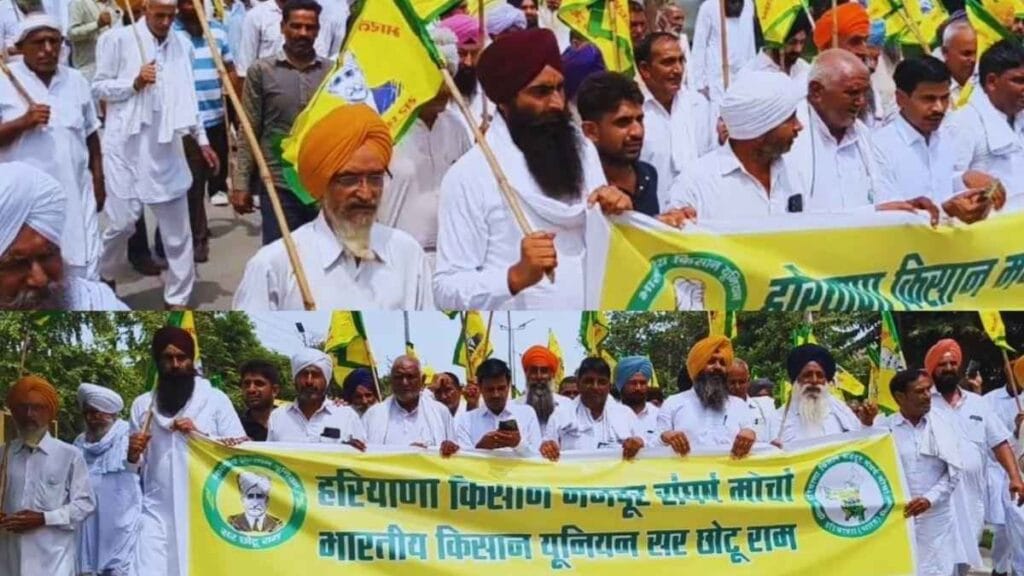 फिजी वायरस से धान की फसल बर्बाद, किसानों ने मांगा ₹60,000 मुआवजा