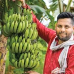 राष्ट्रीय केला अनुसंधान केंद्र की नई तकनीक, एक बूंद से तैयार होंगे लाखों पौधे