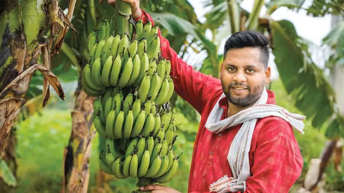 राष्ट्रीय केला अनुसंधान केंद्र की नई तकनीक, एक बूंद से तैयार होंगे लाखों पौधे