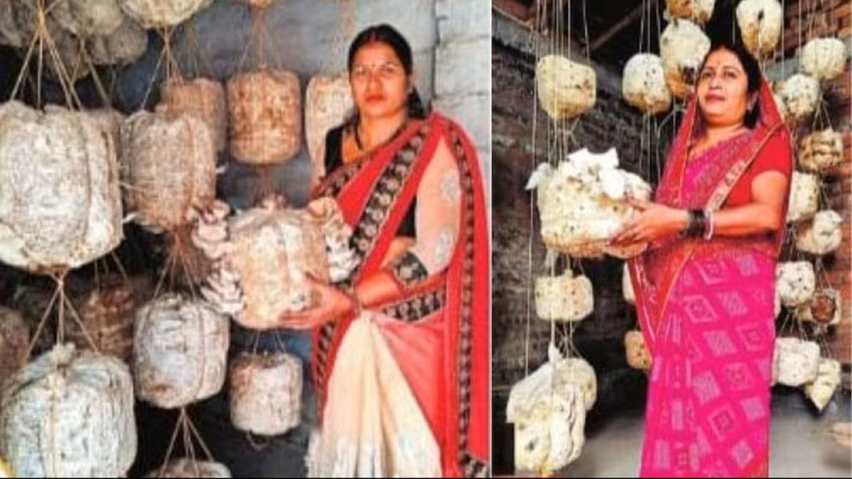 भागलपुर की महिलाओं ने मशरूम खेती से बदली किस्मत, हर दिन 1000 रुपये की कमाई