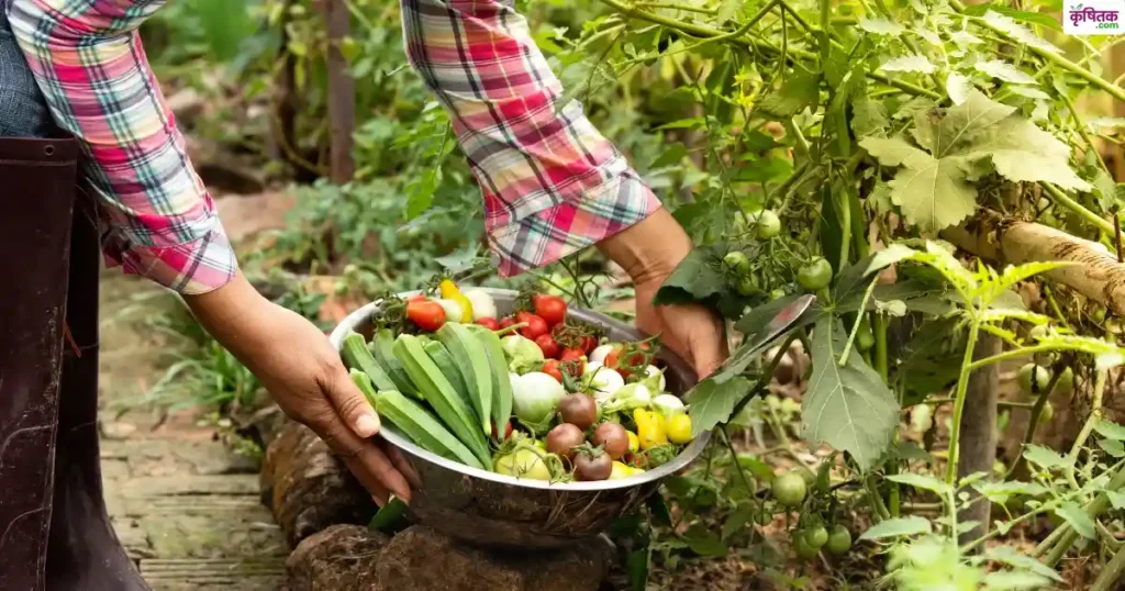 organic-kheti-subsidy-yojana