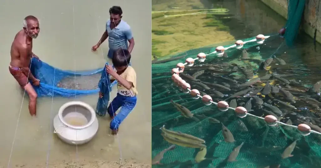 Fish Farming GST Reduction