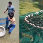 Fish Farming GST Reduction