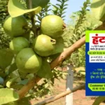 Hunter Bio Product