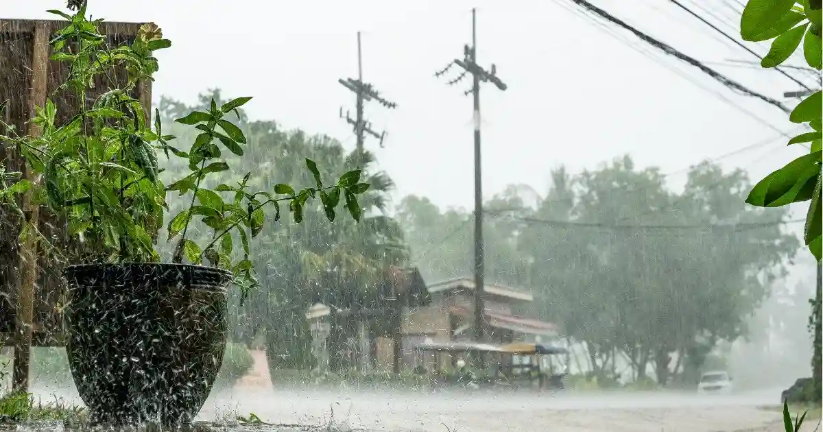 Monsoon Impact In Bihar UP