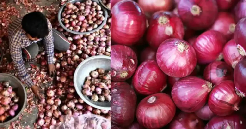 Nashik Onion Farmers Protest