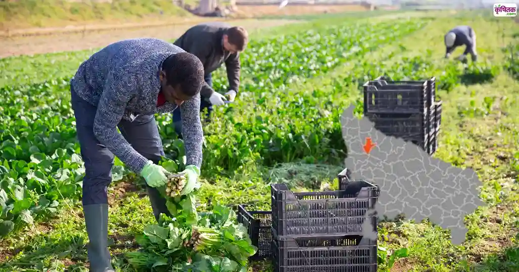 Organic Farming Sambhal