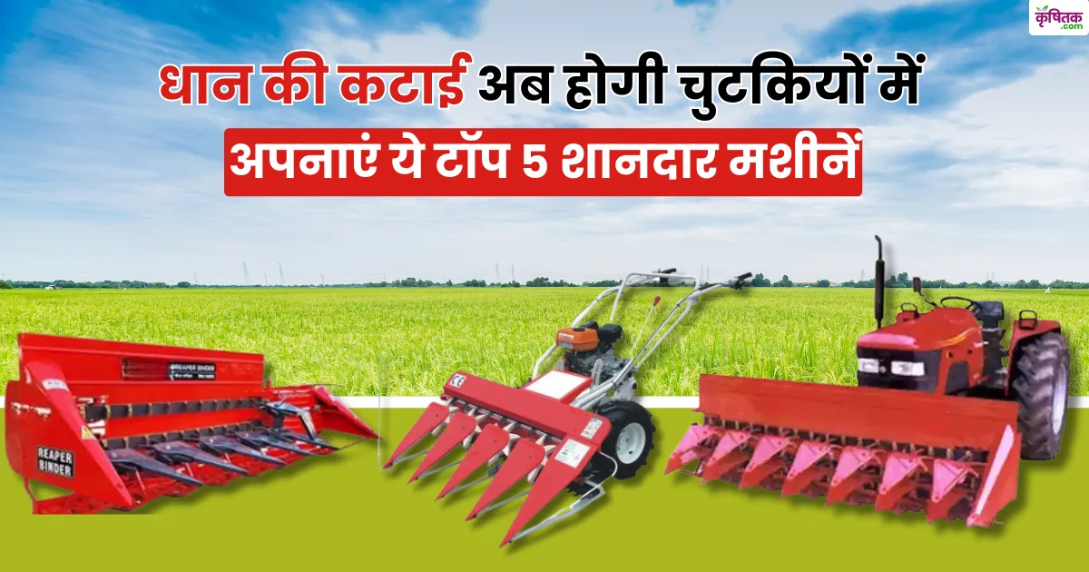 Paddy Harvesting Top 5 Machine
