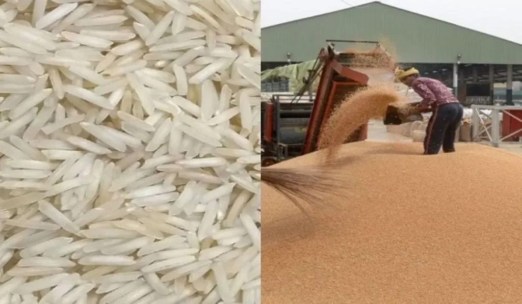 Rice procurement