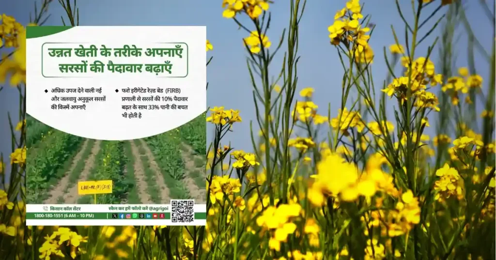 Sarso Ki Kheti