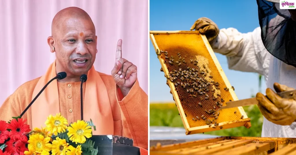 योगी सरकार दे रही फ्री मधुमक्खी पालन ट्रेनिंग, 16 सितंबर तक करें आवेदन