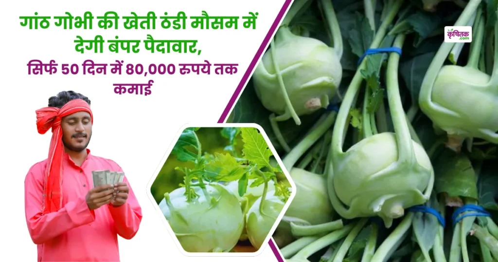 गांठ गोभी की खेती