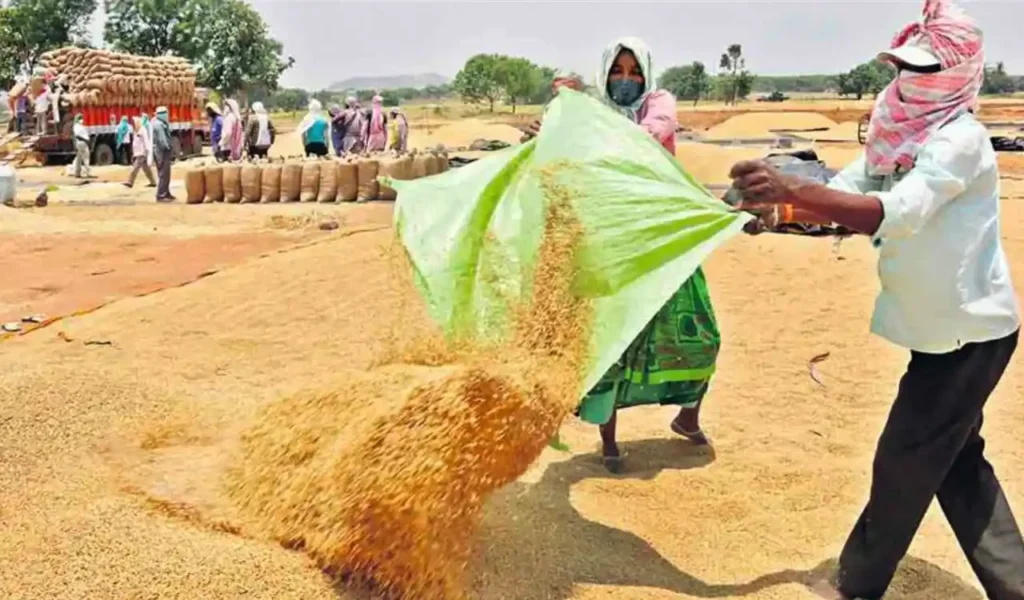 kharif procurement