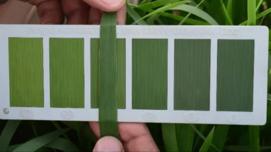 leaf color chart