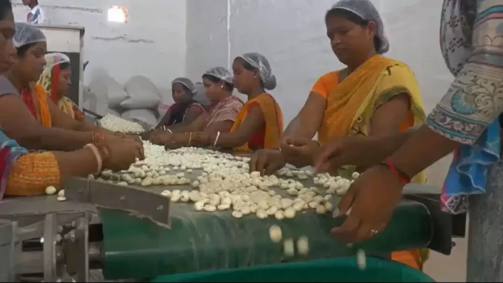बिहार की तरह अब यूपी में भी होगी मखाना की खेती, अयोध्या से हुई शुरुआत