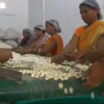 बिहार की तरह अब यूपी में भी होगी मखाना की खेती, अयोध्या से हुई शुरुआत