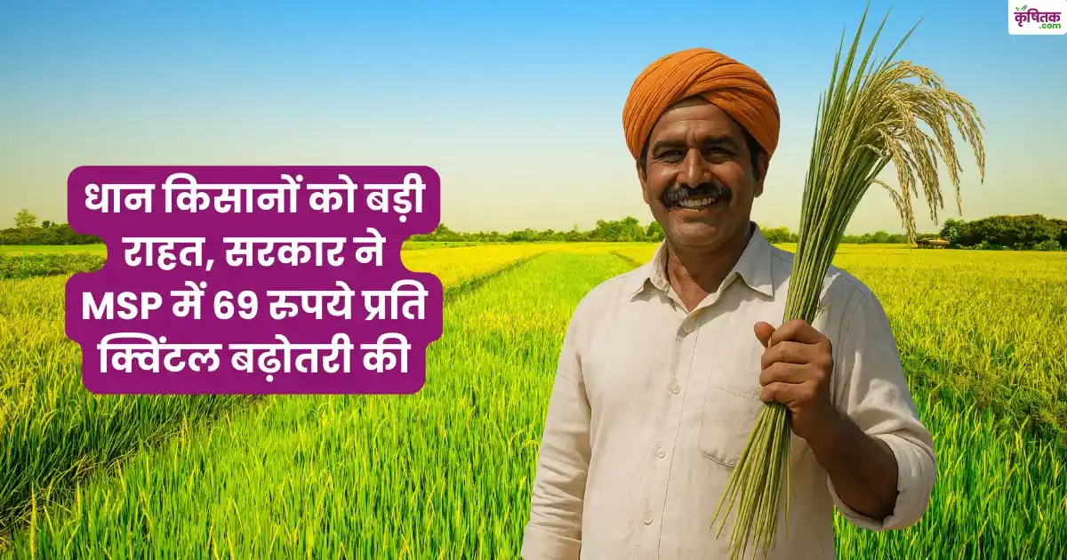 धान किसानों की बल्ले-बल्ले, MSP बढ़कर हुआ और 69 रुपये प्रति क्विंटल
