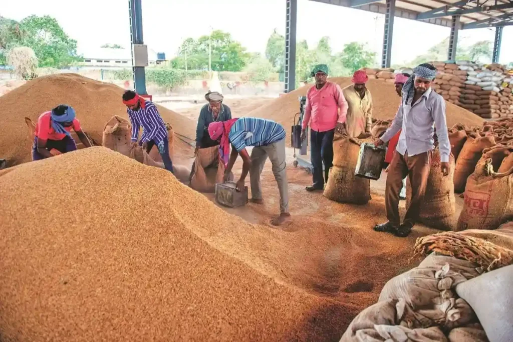 Paddy Procurement in UP