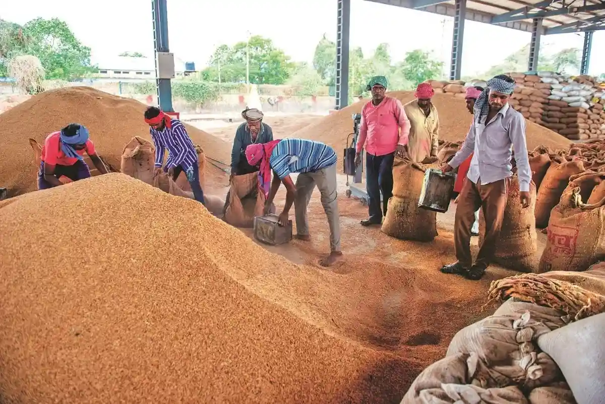 Paddy Procurement in UP