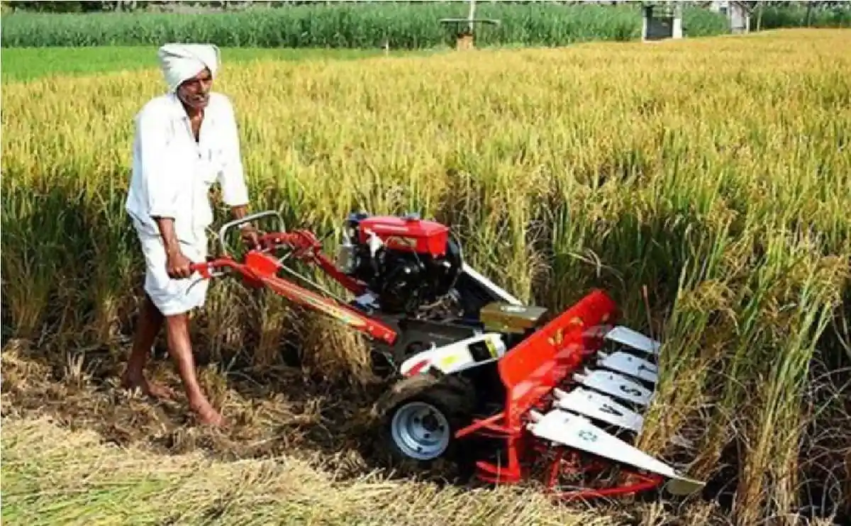 paddy reaper machine