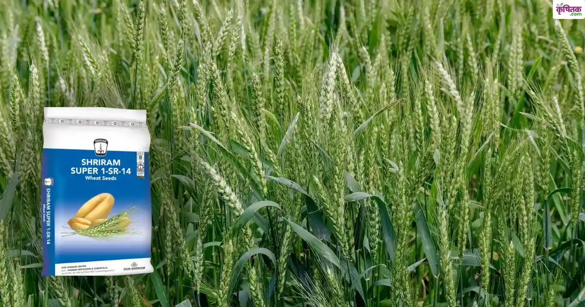 श्रीराम सुपर 1-SR-14