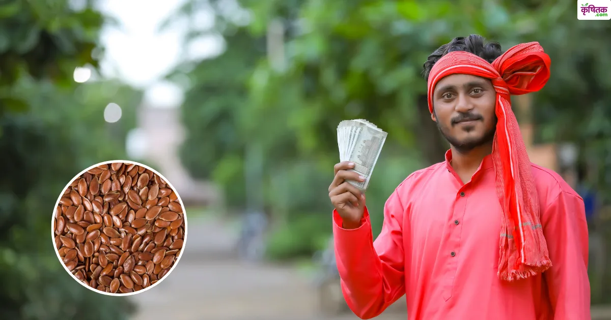 UP Free Flaxseed vitran