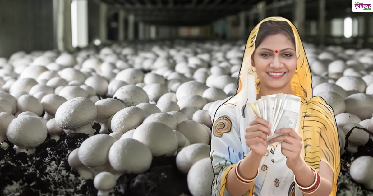 Bihar Mushroom Kheti Yojana 2025